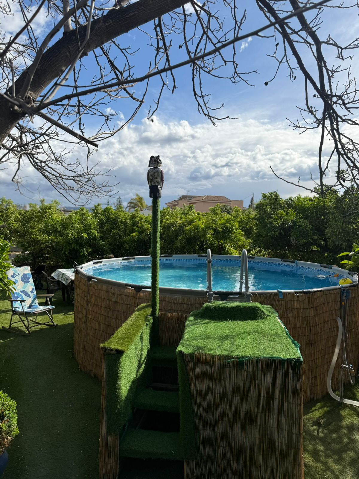 Piscina entre naranjos 2